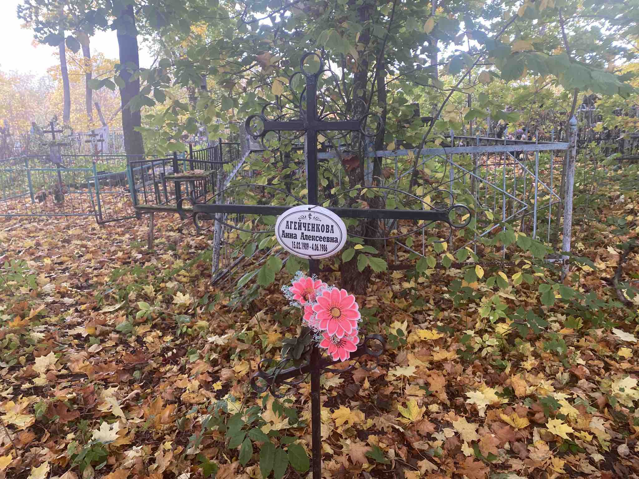 Агейченкова Анна Алексеевна