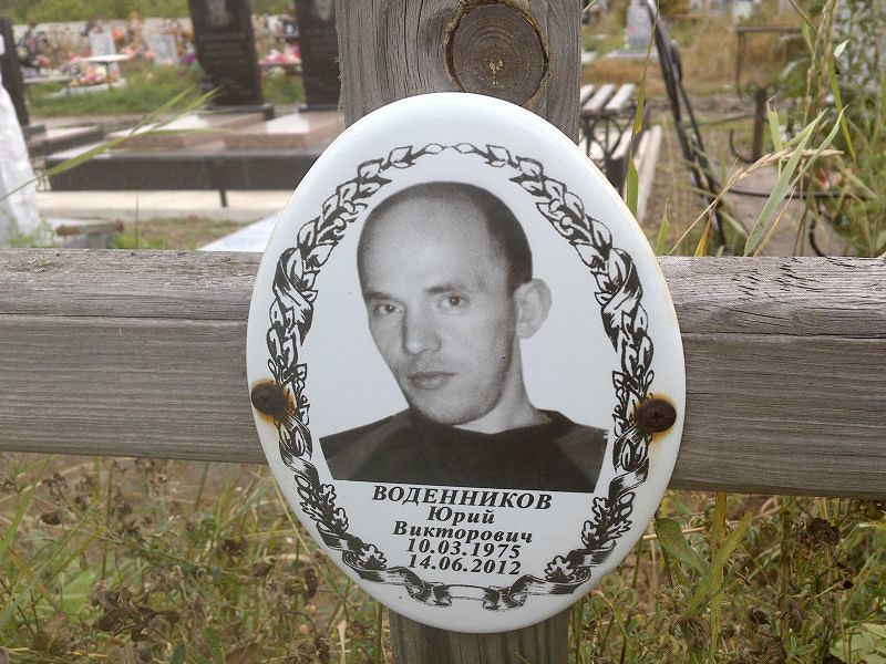 Воденников