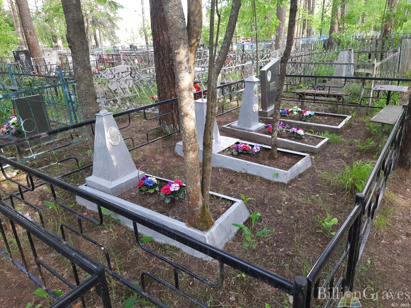 Ильина Евгения Владимировна