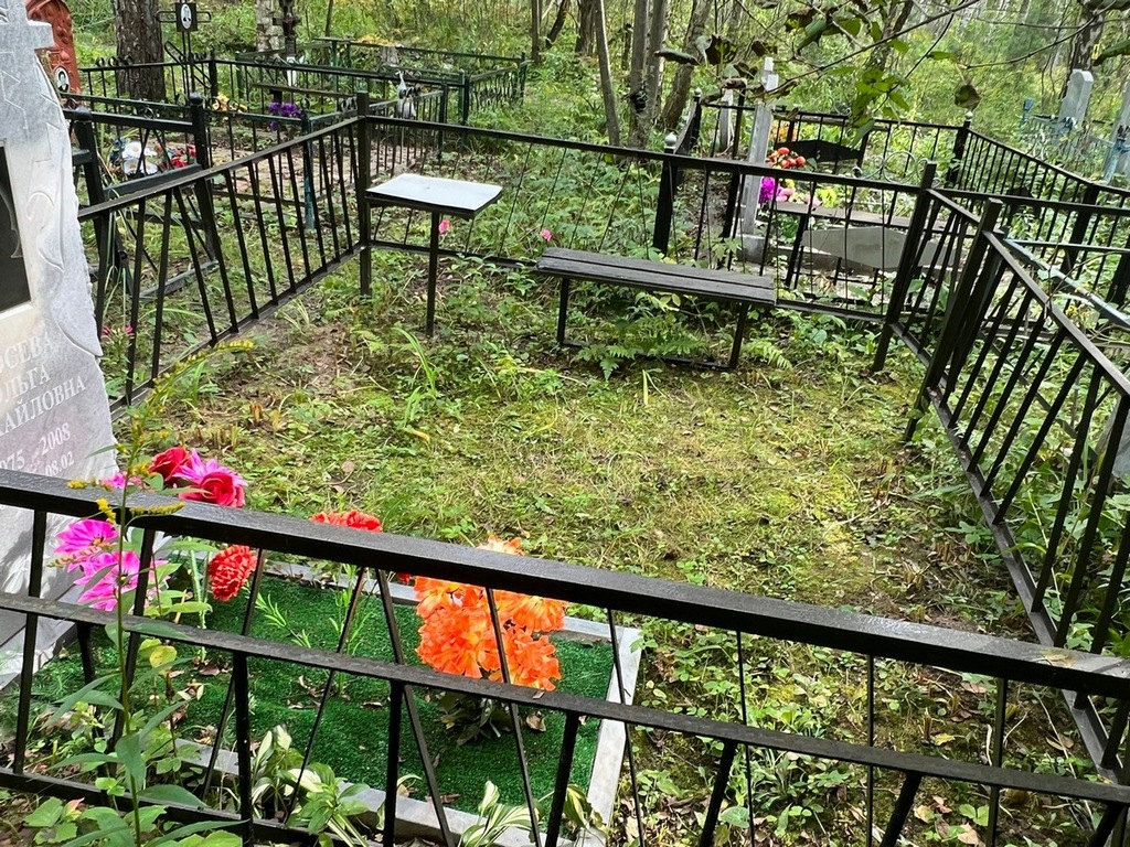 Лосева Ольга Михайловна