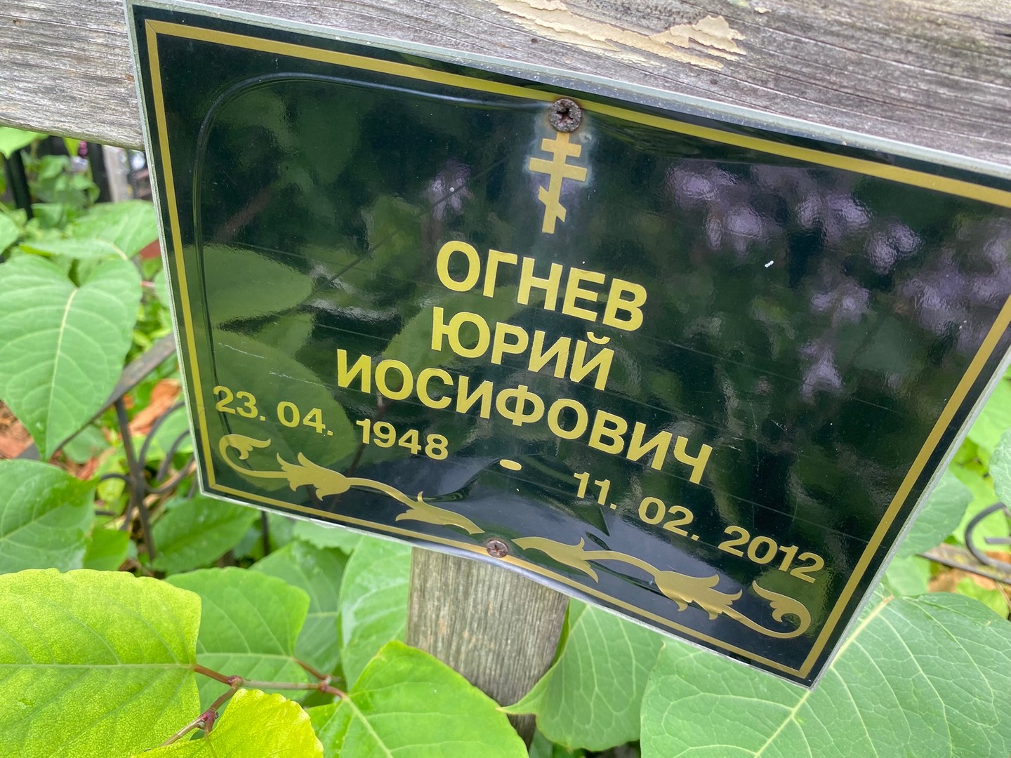 Огнев