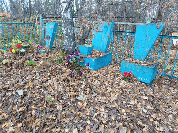 Половая Евдокия Васильевна