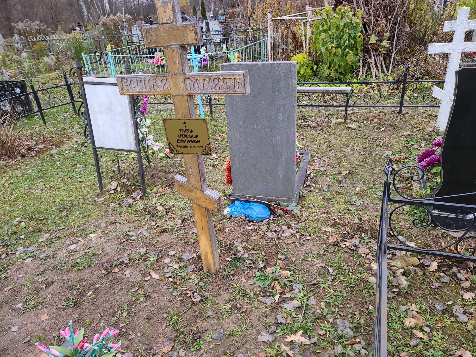 Тризна Александр Дмитриевич