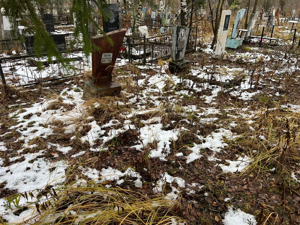 Бахтин Николай Владимирович