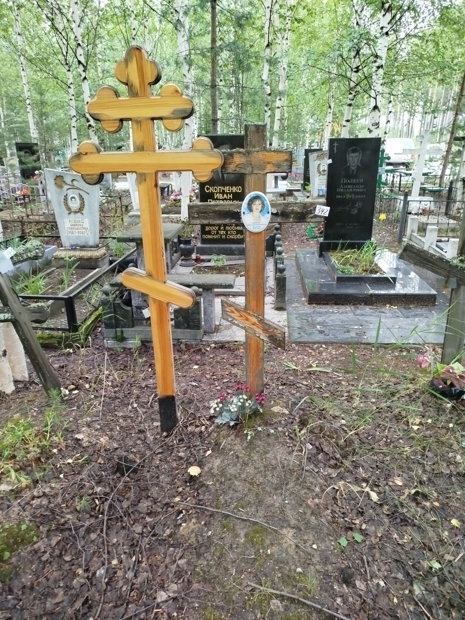 Царева Лариса Владимировна
