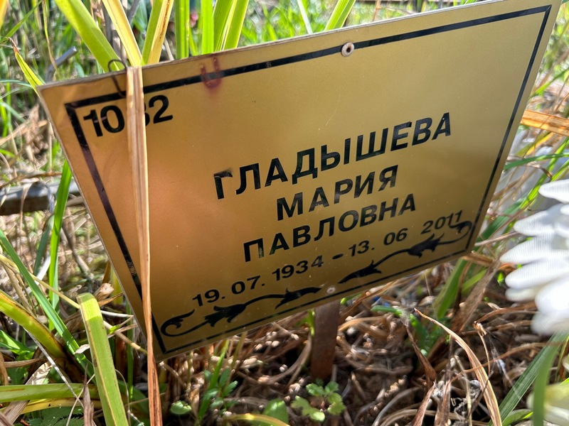 Гладышева