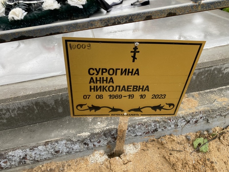 Сурогина