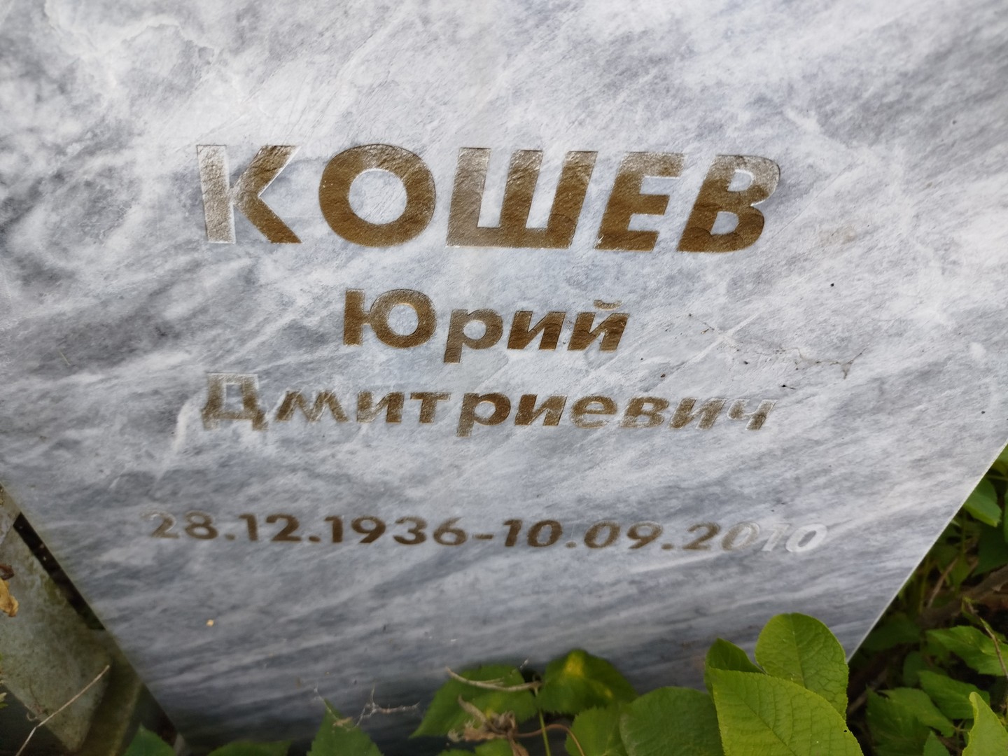 Кошев