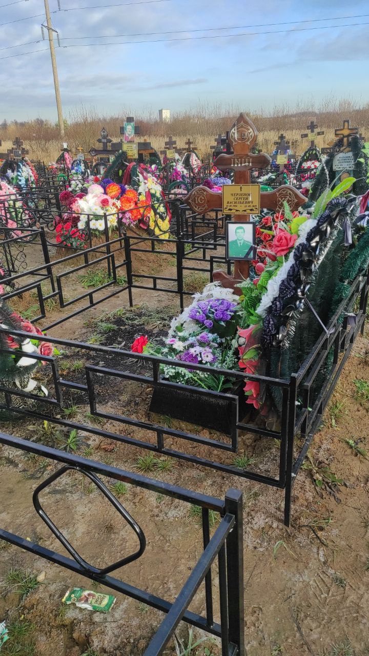 Черленок