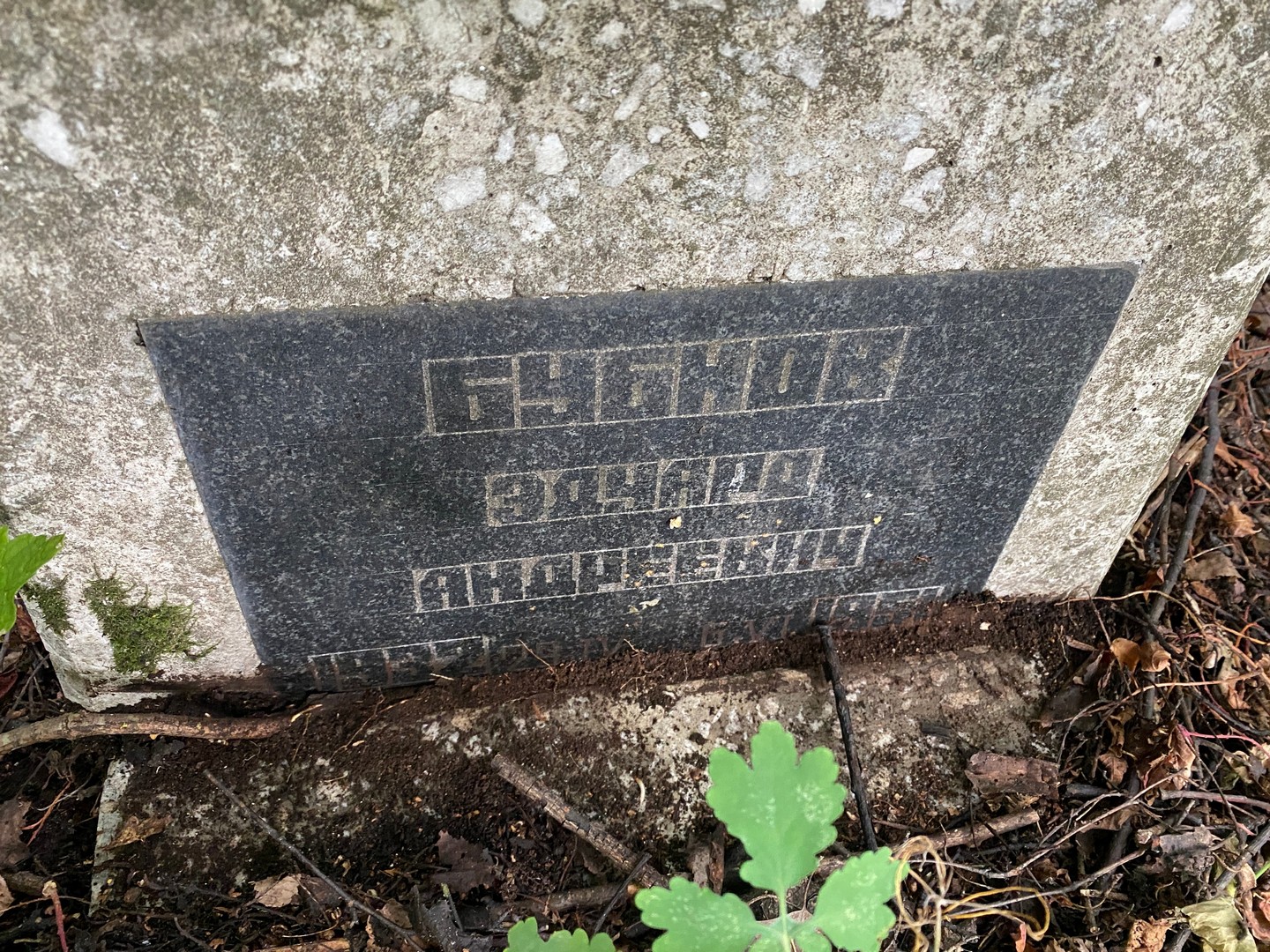 Эдуард Бубнов Андреевич