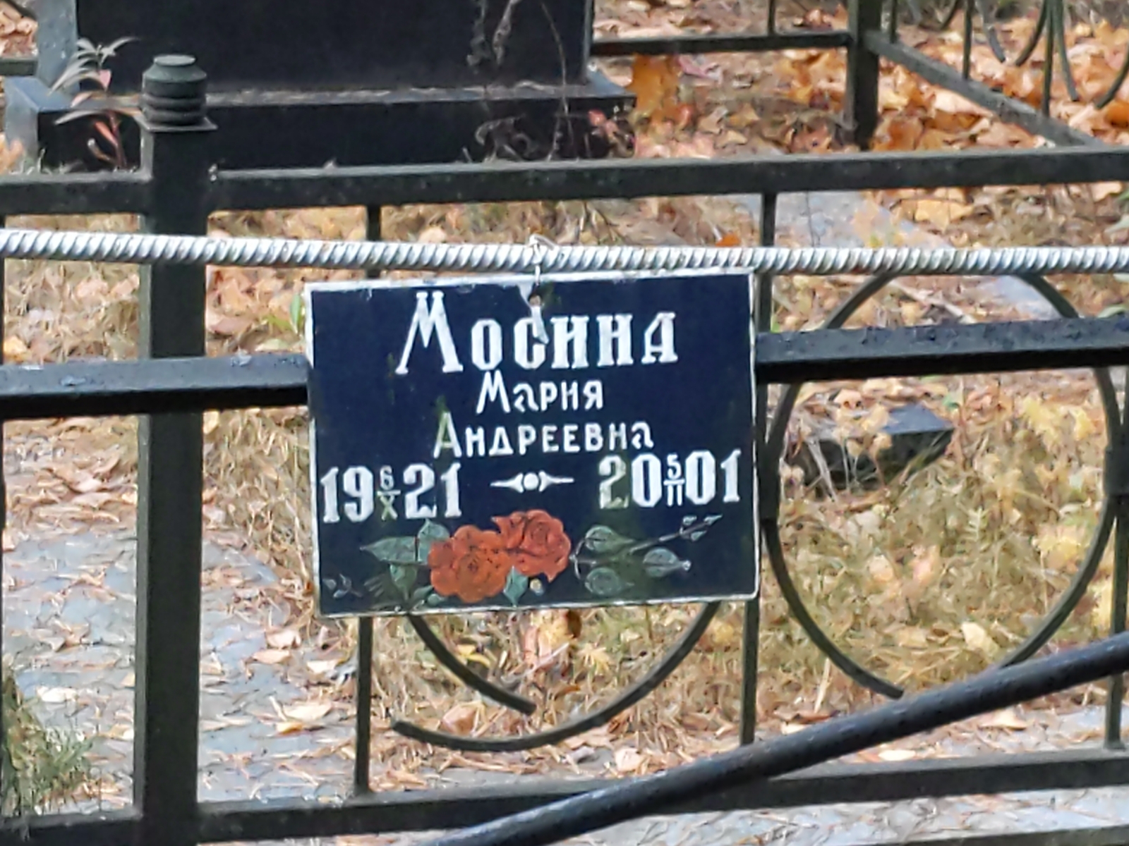 Мосина Мария Андреевна