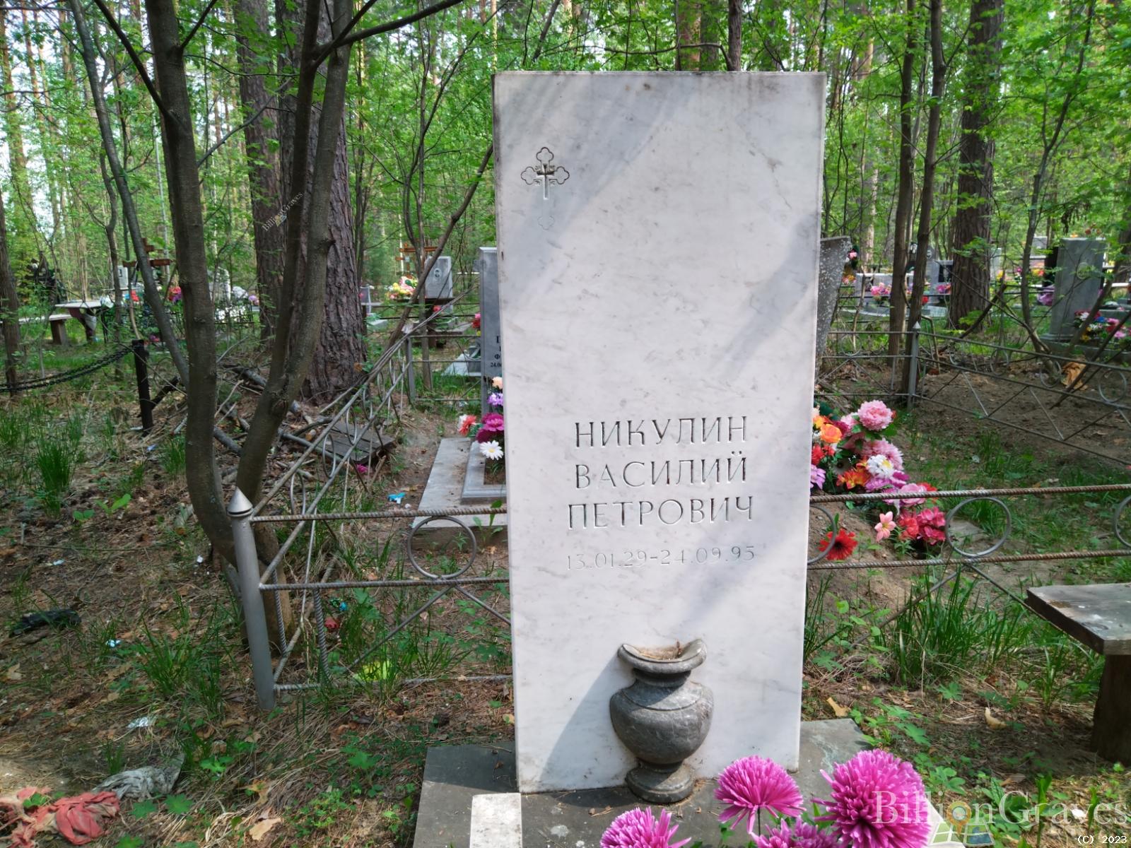 Никулин Василий Петрович