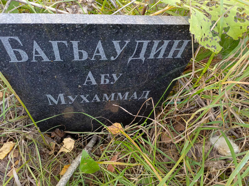 Абу Багьаудин Мухаммад