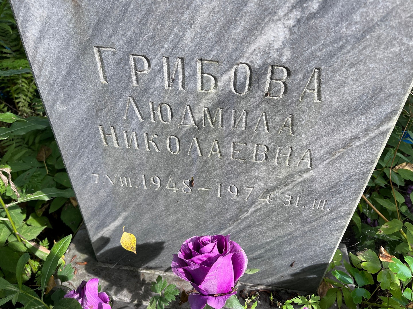 Грибова