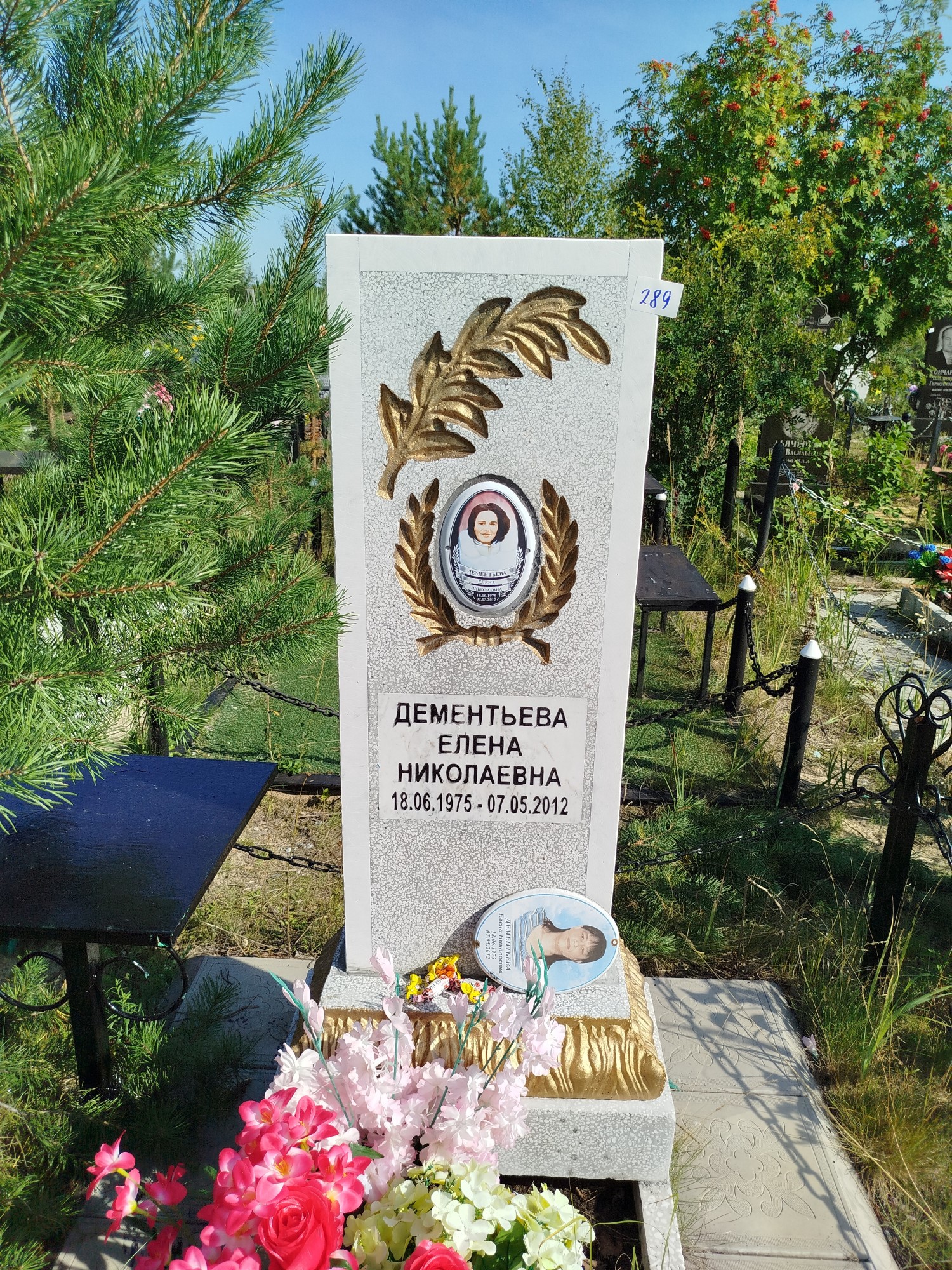 Дементьева Елена Николаевна