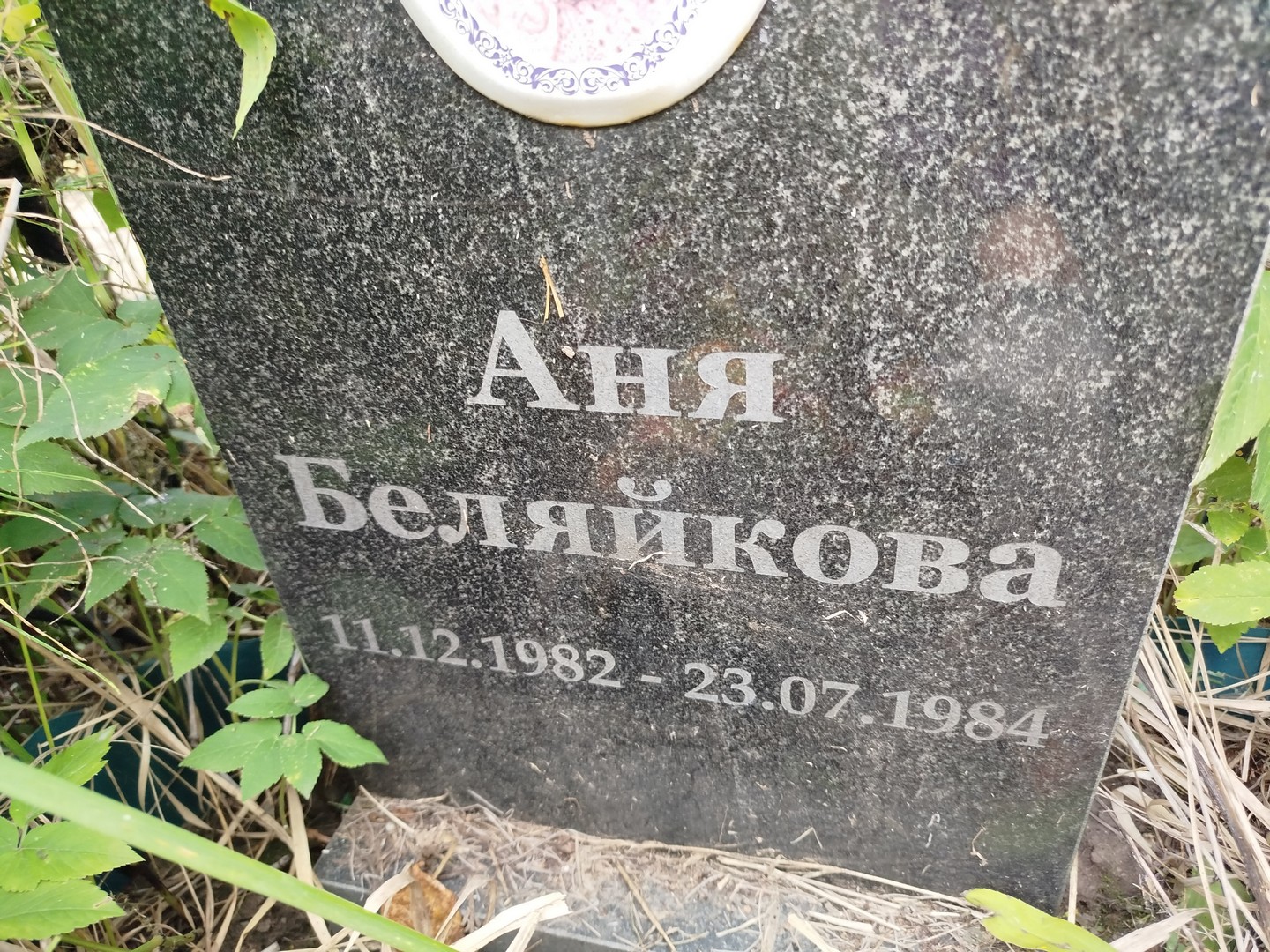Беляйкова Беляйкова