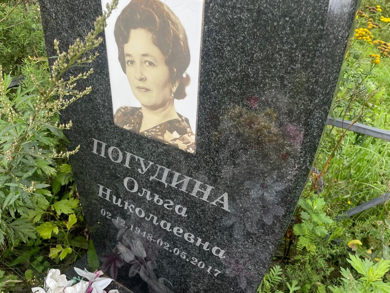 Погудина