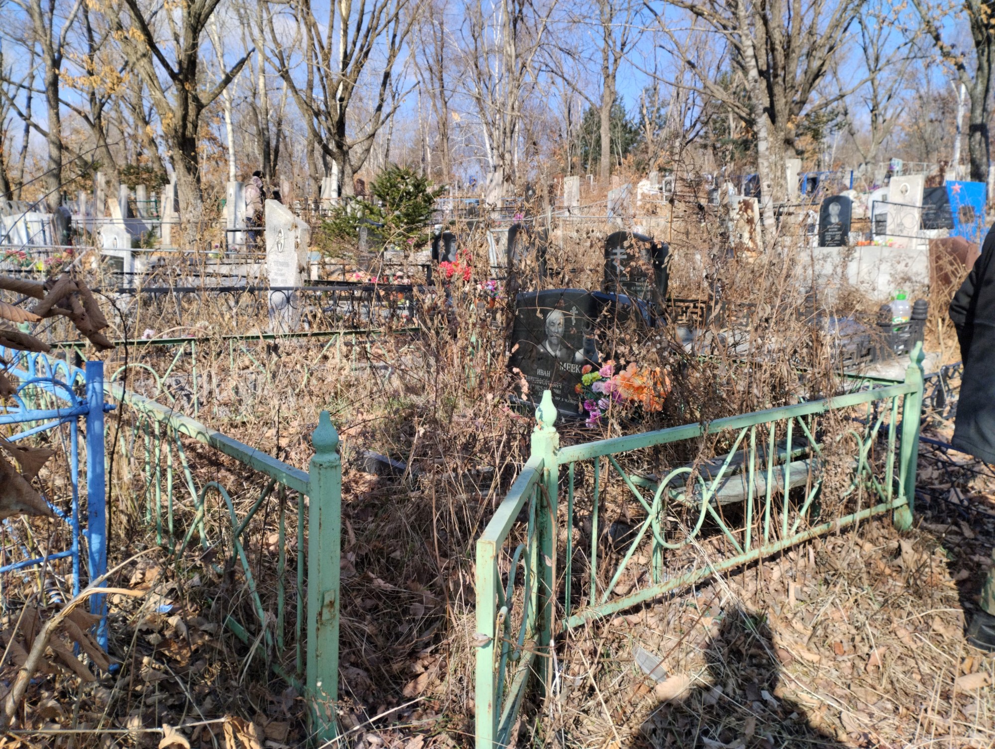Меек Екатерина Ивановна