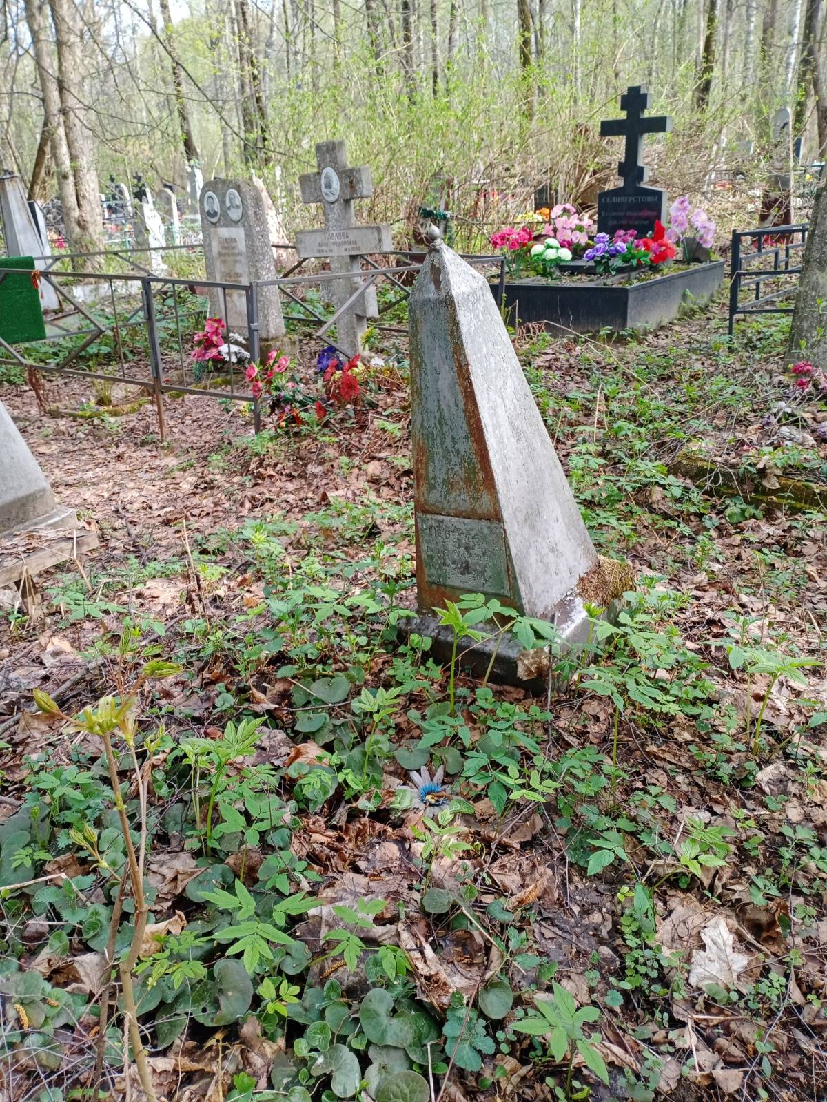 Лебедева Лидия Васильевна
