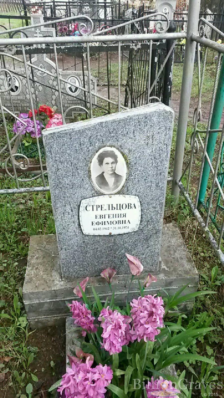 стрельцова евгения ефимовна