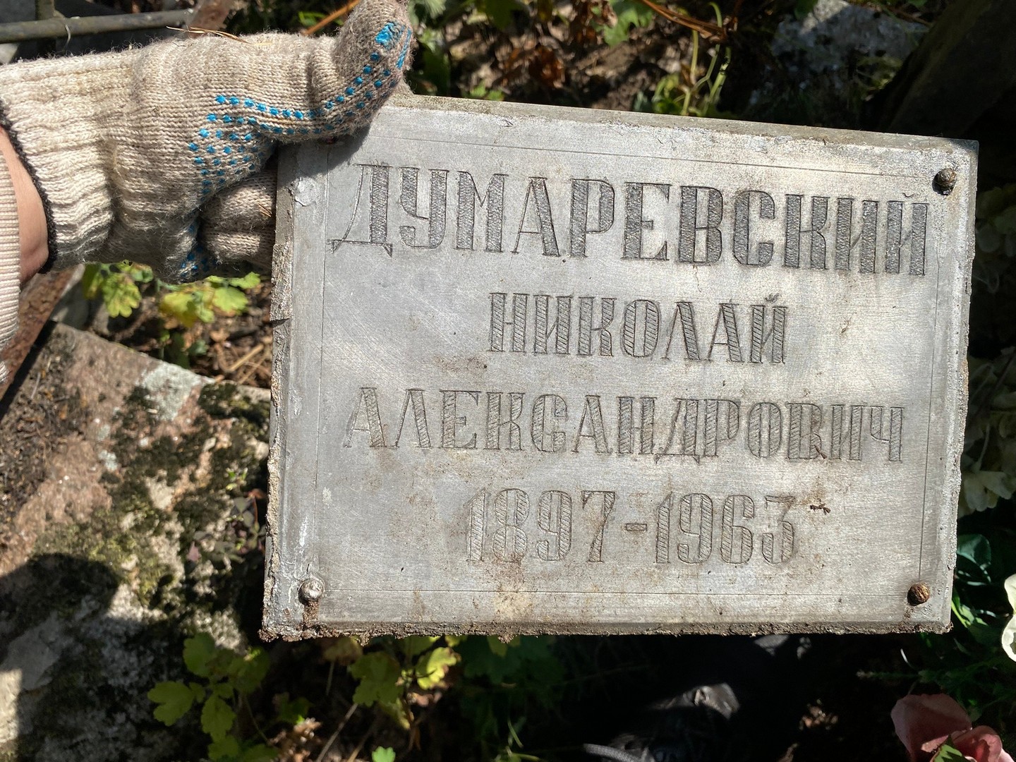 Думаревский