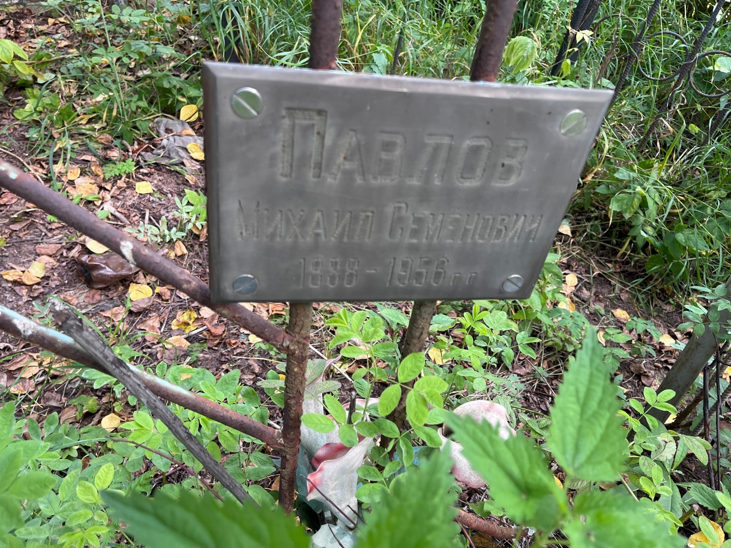 Павлов