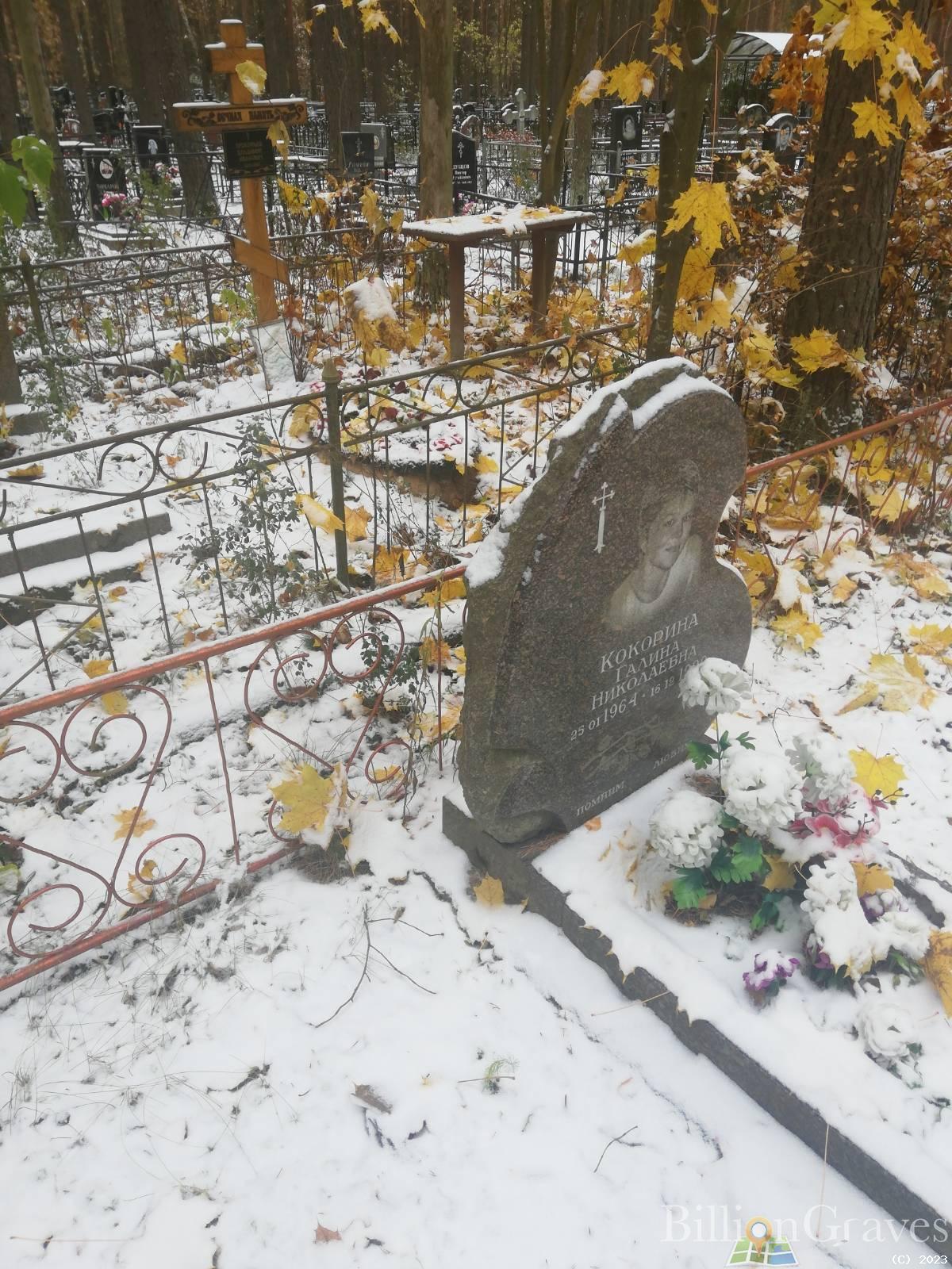 Кокорина Галина Николаевна
