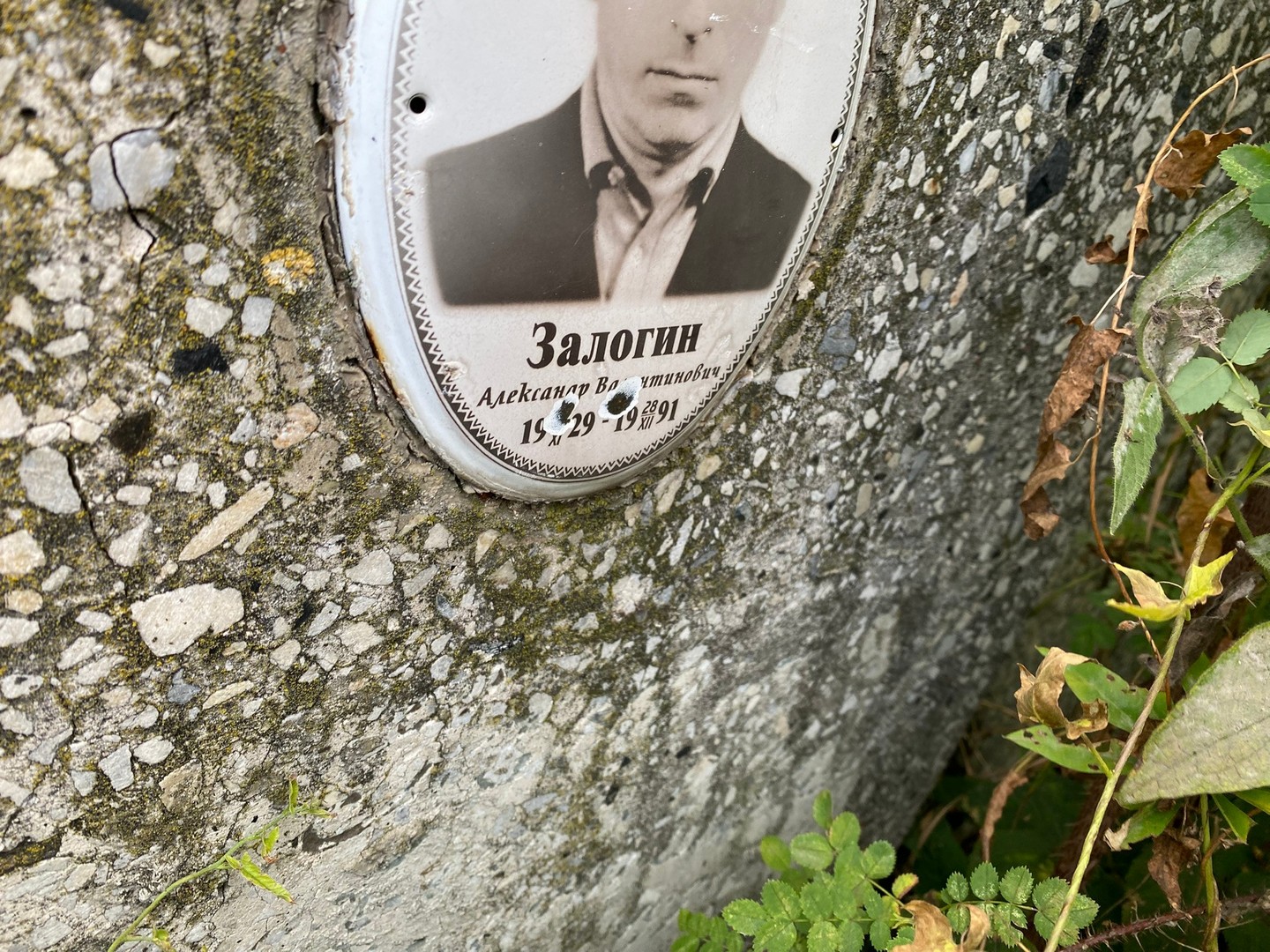 Залогин