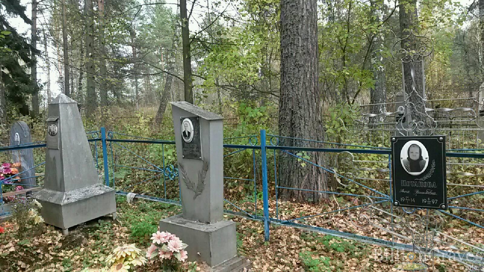 Потапова Анна Васильевна
