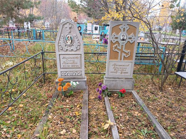 Мельников Владимир Егорович