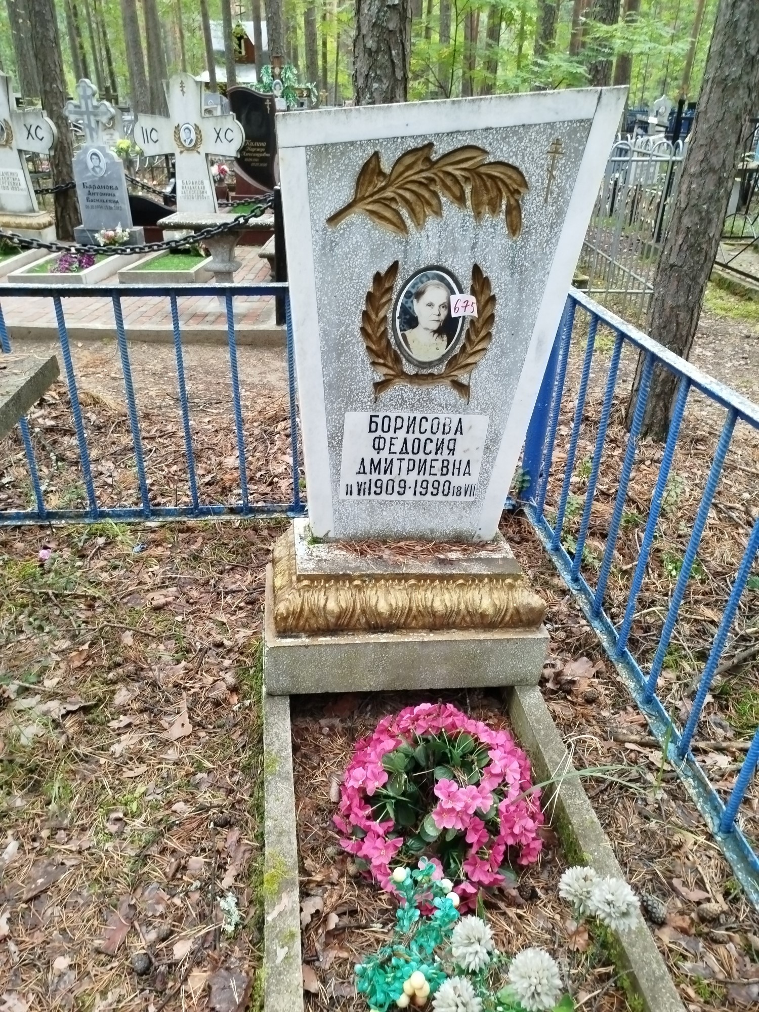 Борисова Федосия Дмитриевна