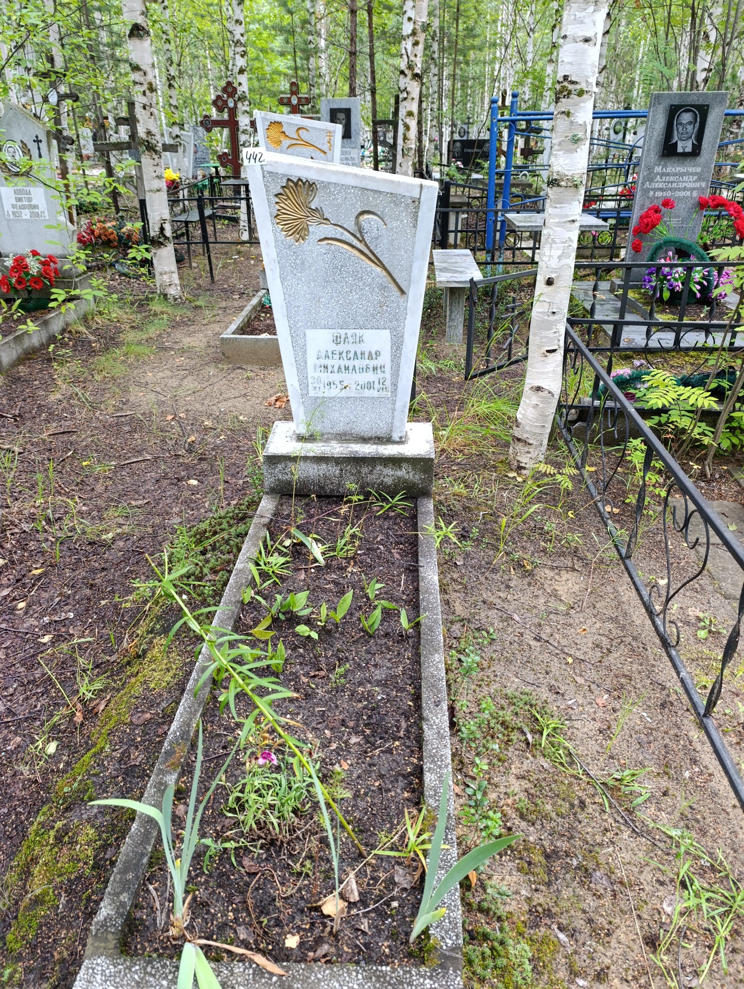 Фляк Александр Михайлович