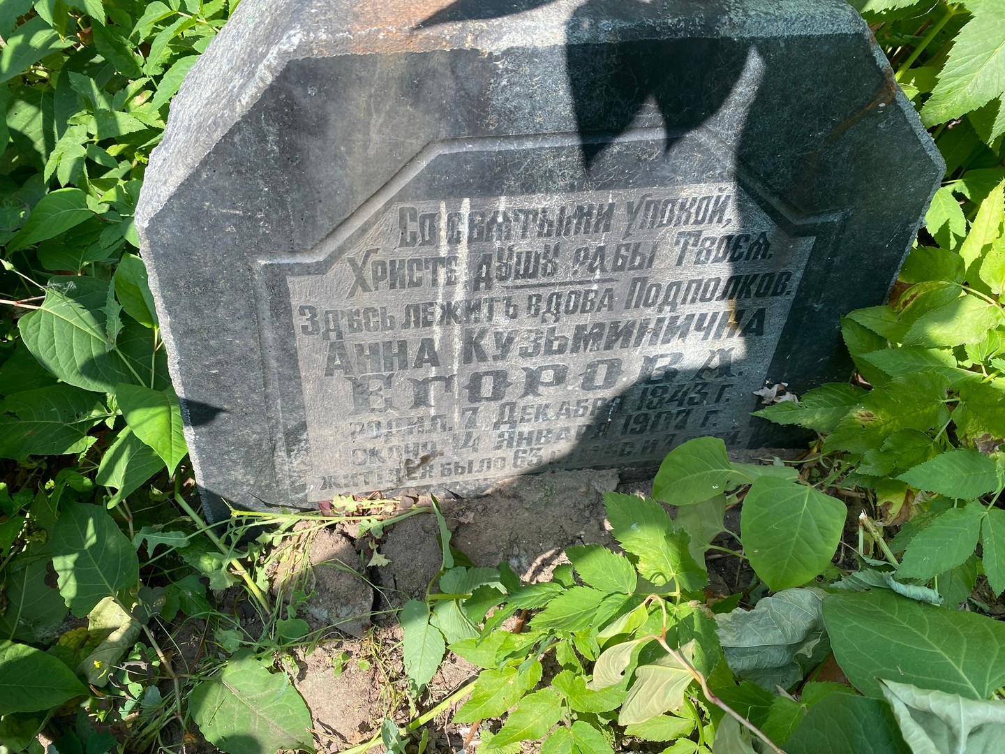 Егорова