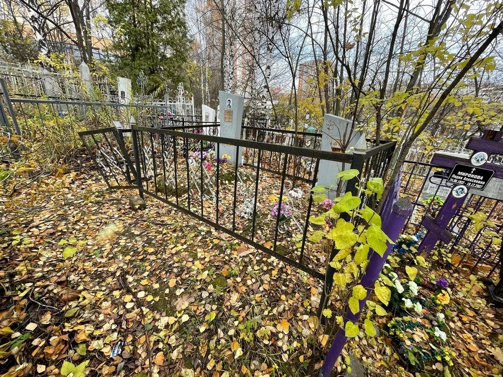 Шулешова Анна Дмитриевна