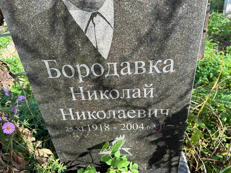Бородавка
