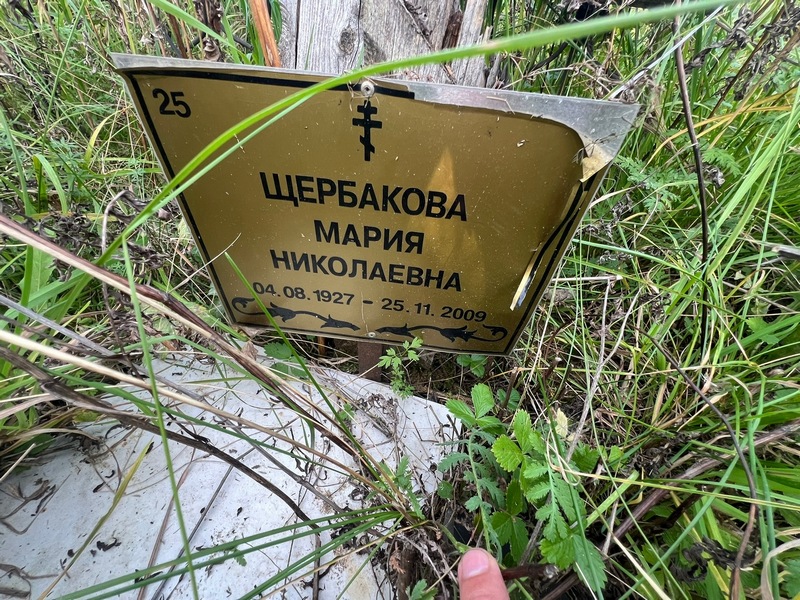 Щербакова