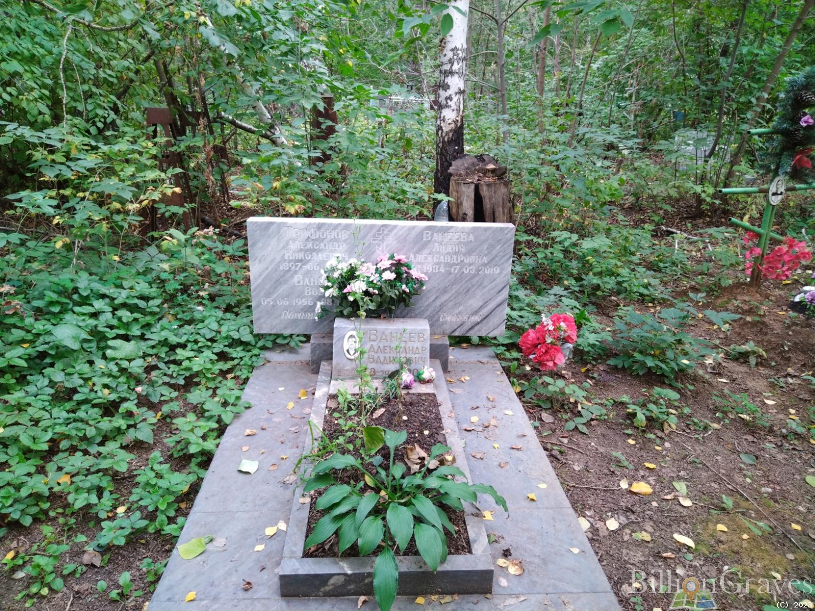 Ванеева Лидия Александровна