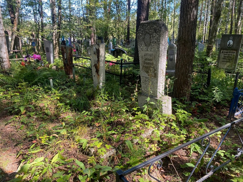 Шевцов Александр Степанович