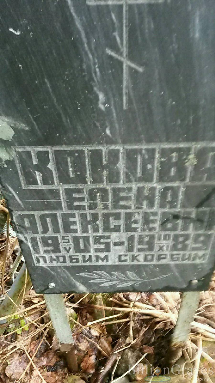 кокова елена алексеевна