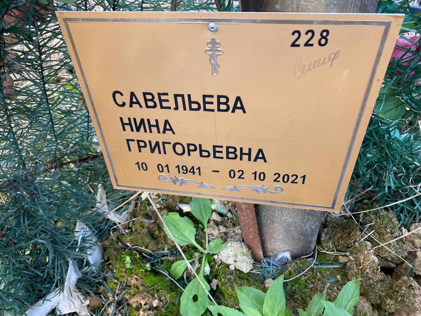Савельева