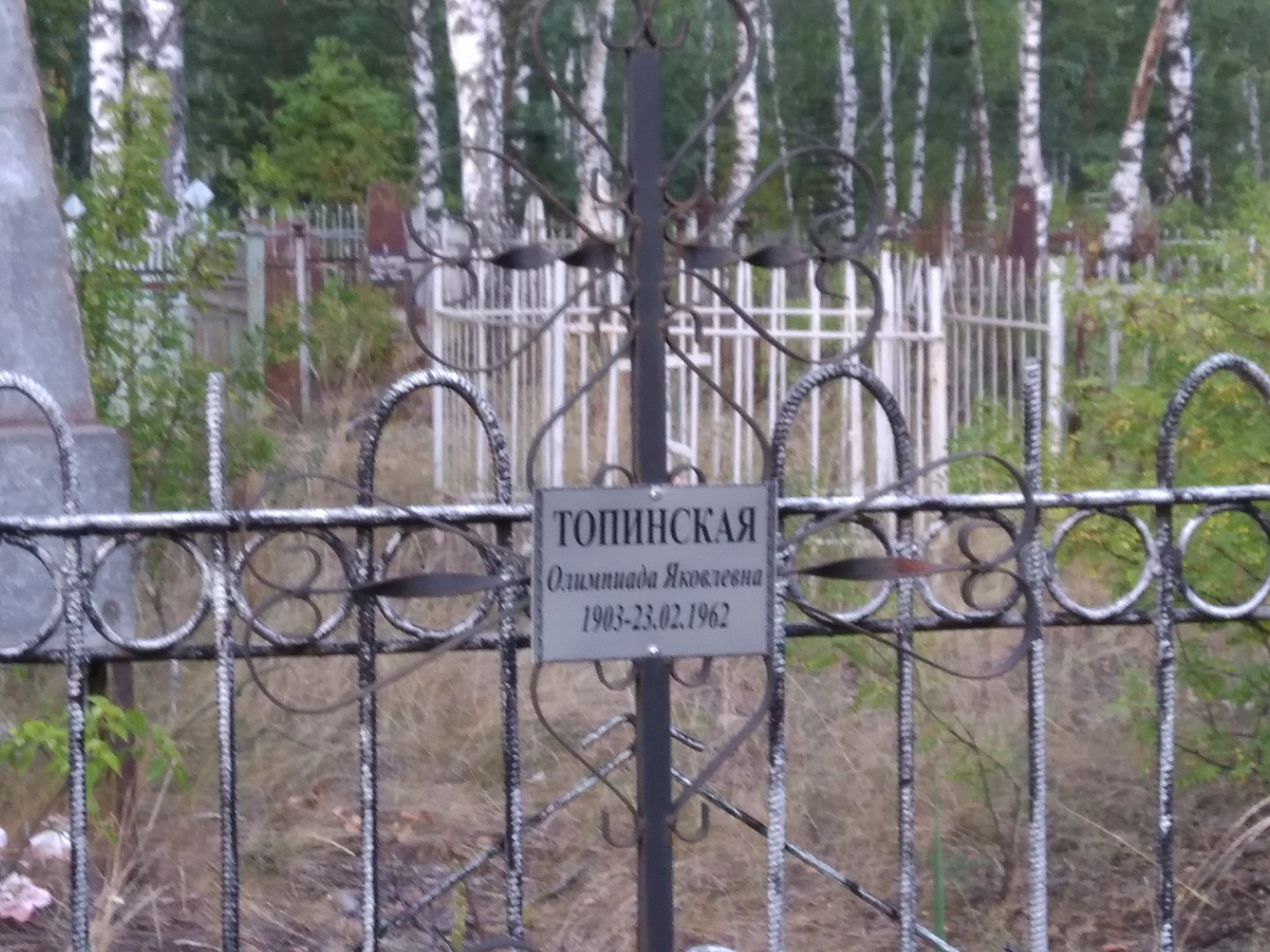 Топинская Олимпиада Яковлевна