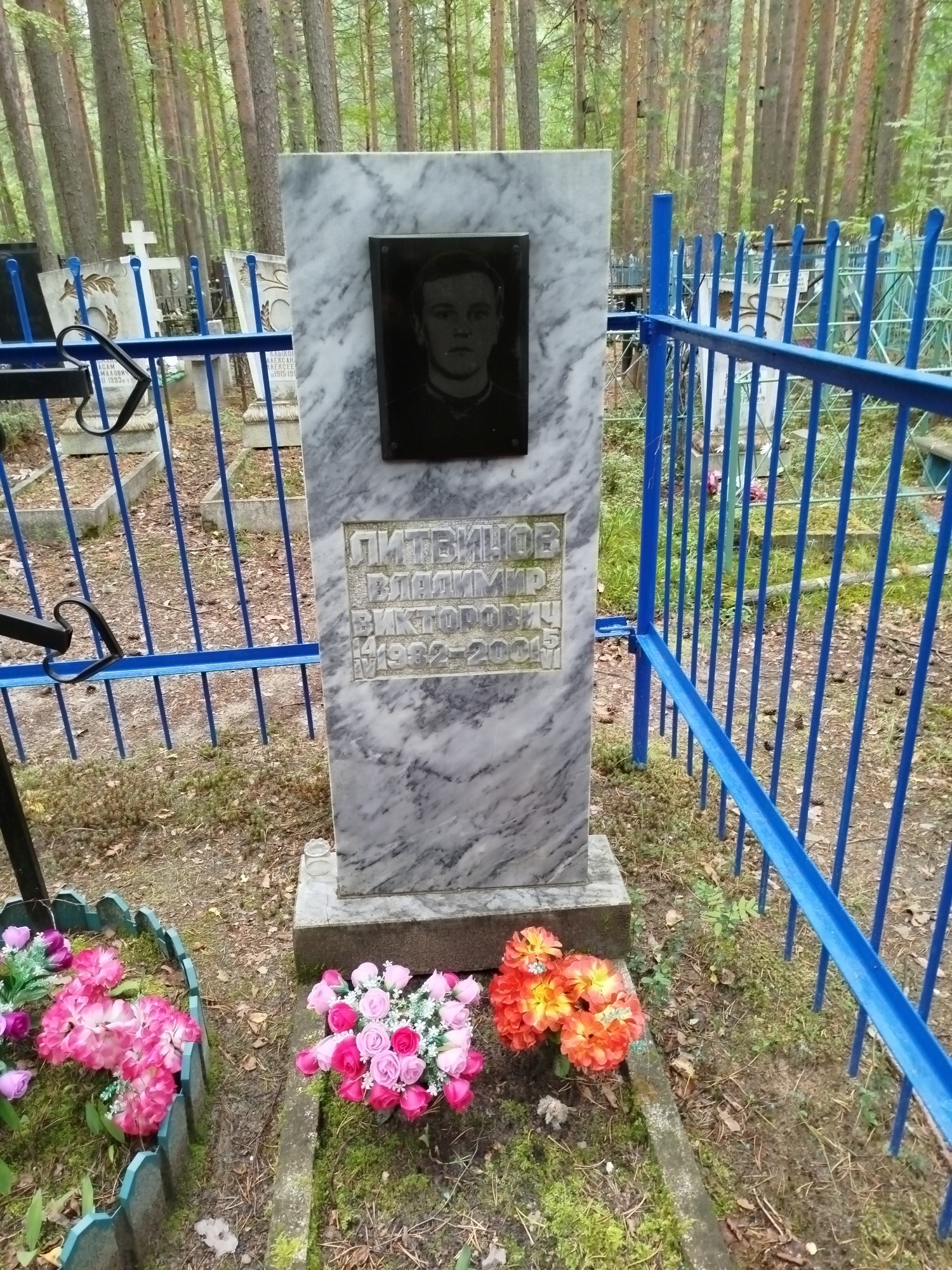 Литвинов Владимир Викторович
