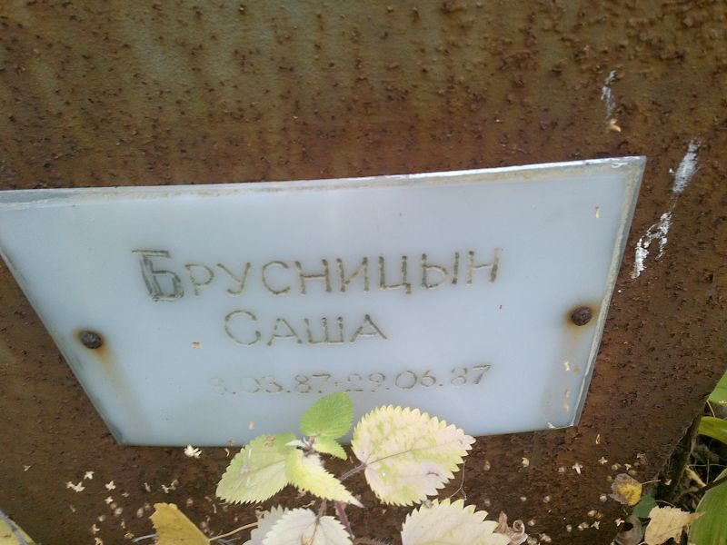 Саша Брусницын