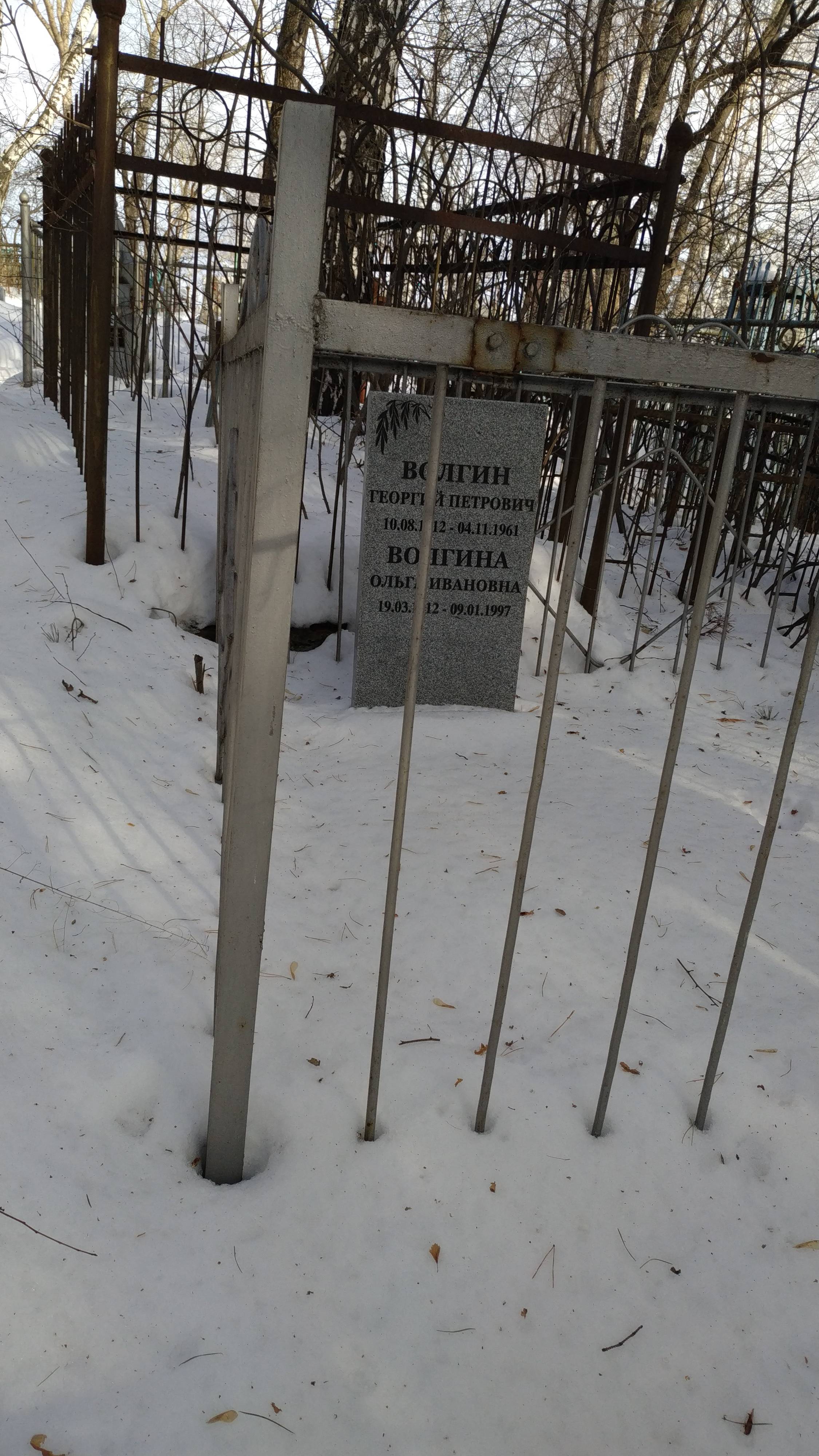 Волгин Георгий Петрович