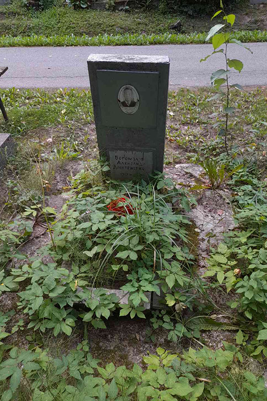 Богомолов Александр Дмитриевич