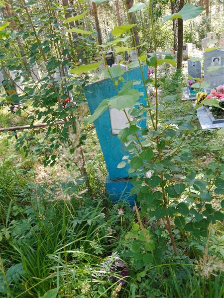 Чудинова Елизавета Степановна