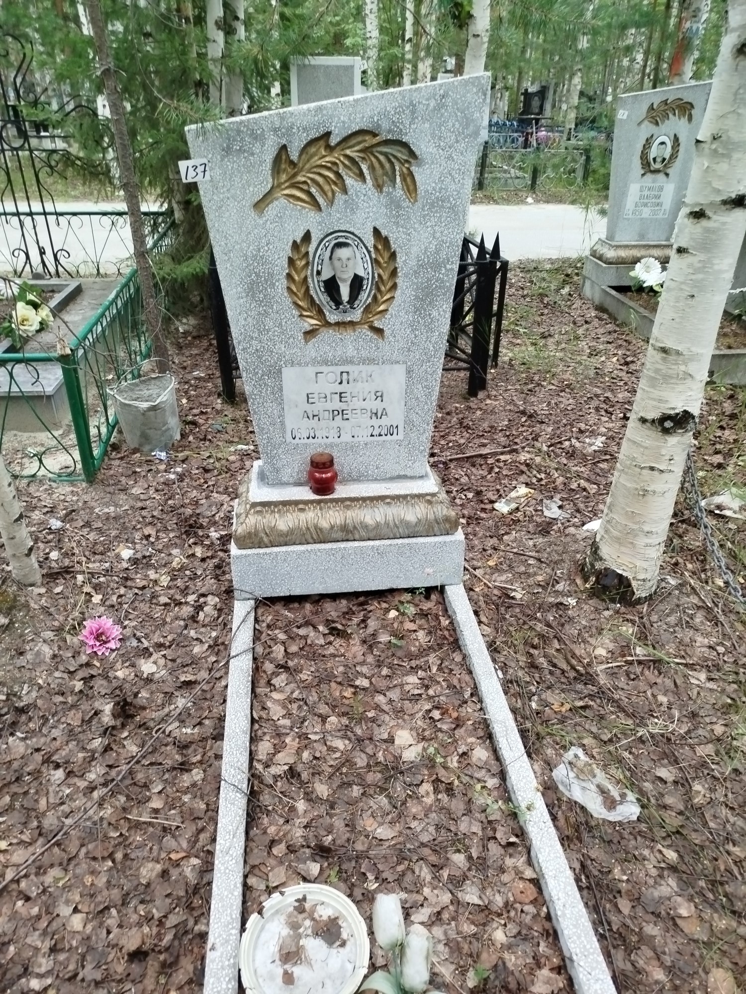 Голик Евгения Андреевна