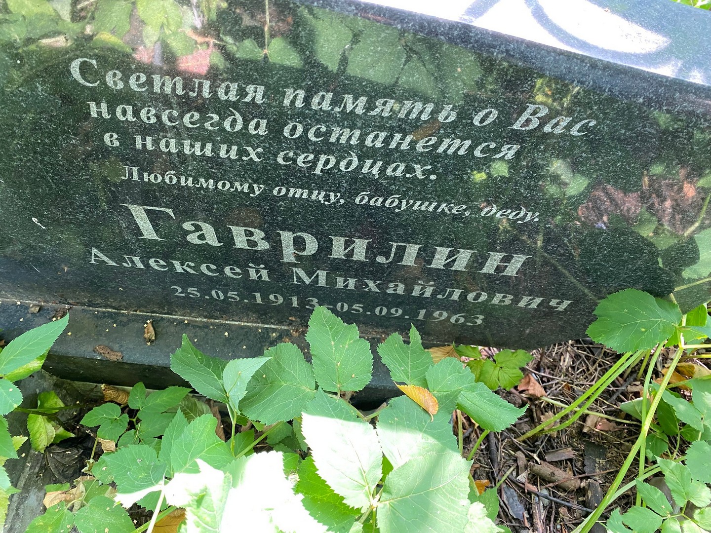Гаврилин
