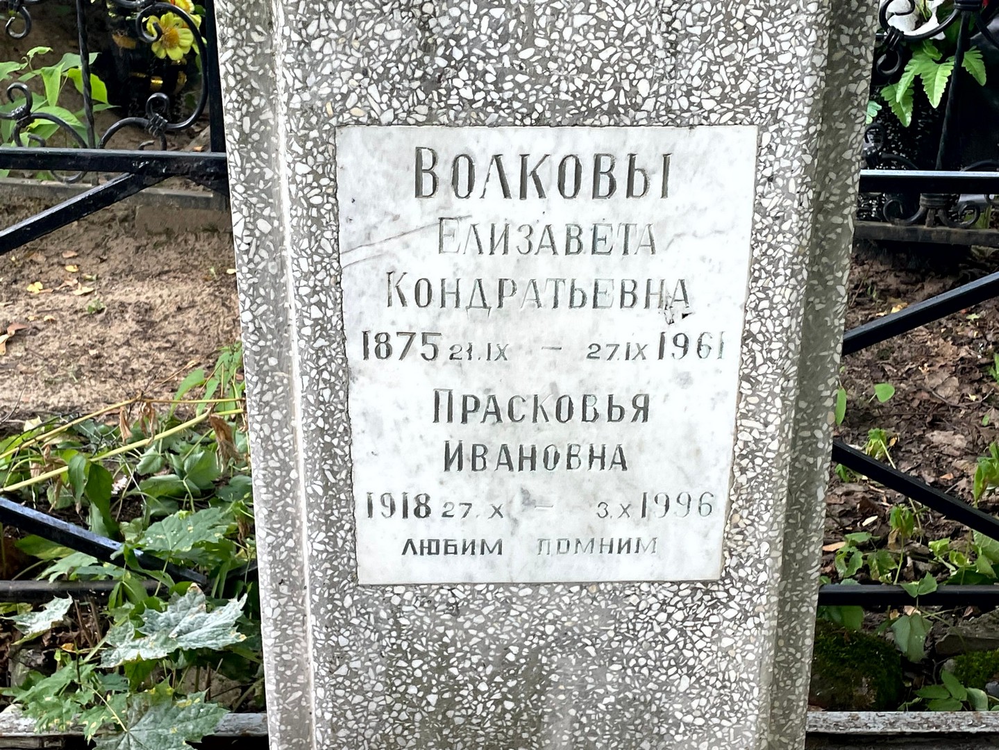 Волкова