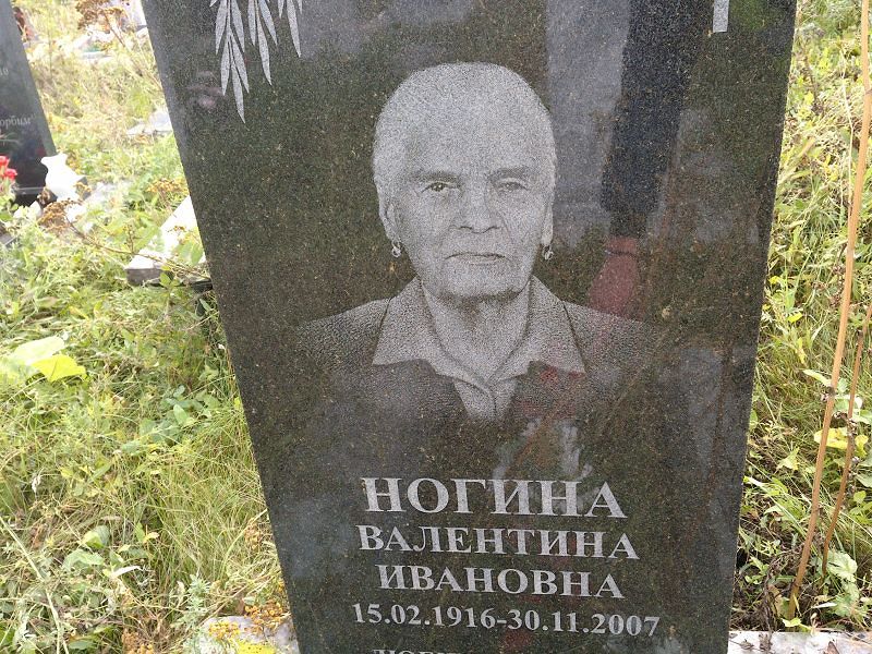Ногина